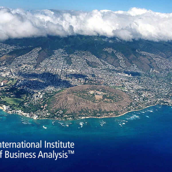 Institut international d’analyse commerciale.