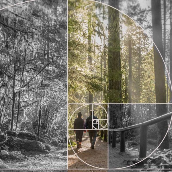 Deux personnes marchent dans la forêt avec une lumière qui coule, mais elle est superposée d’un motif géométrique.
