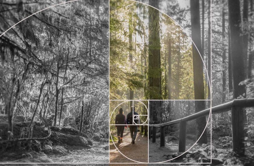 Deux personnes marchent dans la forêt avec une lumière qui coule, mais elle est superposée d’un motif géométrique.